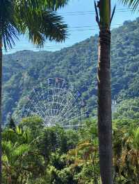 夢幻與歡樂的逐光旅程