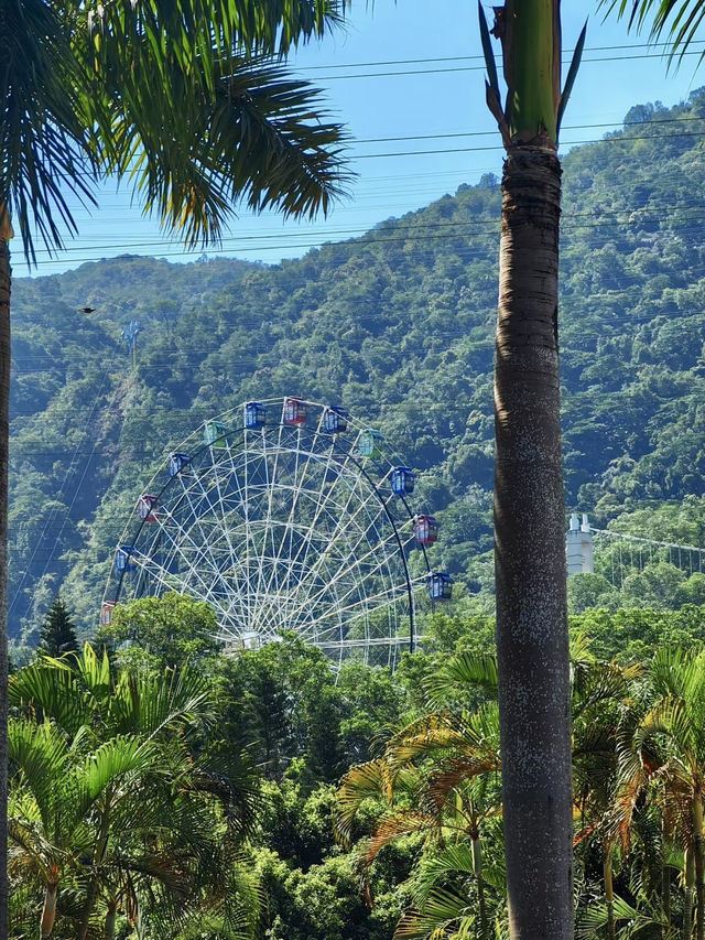 夢幻與歡樂的逐光旅程