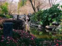 翠湖公園遊玩攻略