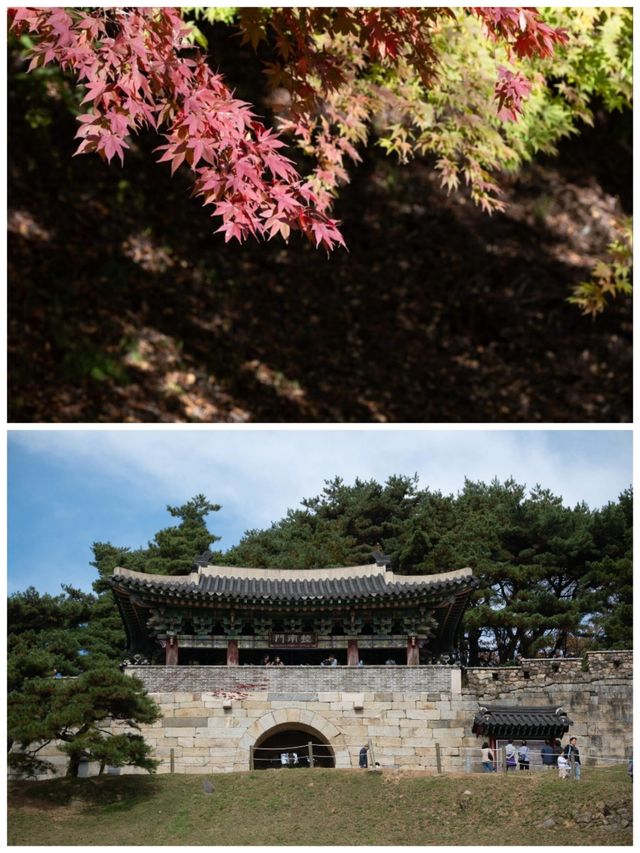 【寶藏小眾地】韓國清州，原來這麼好玩！
