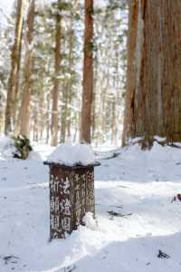 東京近郊｜雪國森林長野兩日遊攻略