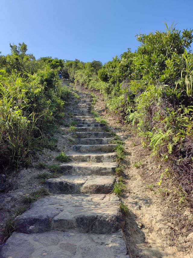 香港離島選哪個？西貢隱秘果凍海