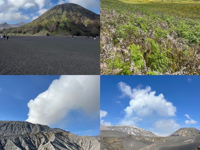 《瑪琅！瑪琅！開啟印尼小眾寶藏地的奇幻盲盒之旅》