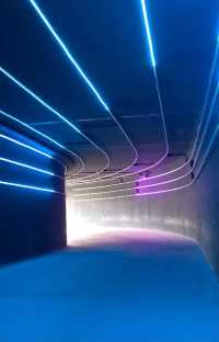 Discover the Thrill of Skyline Luge Kuala Lumpur