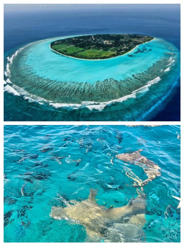 圖杜島：馬爾代夫遺世獨立的海島秘境