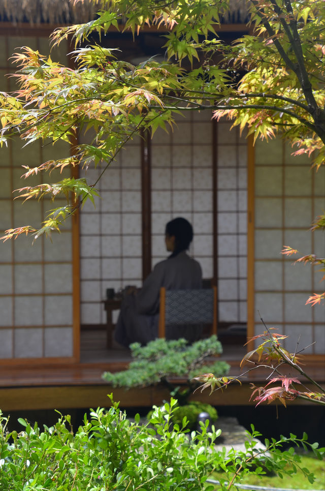 行安山古道住馬放瀾山