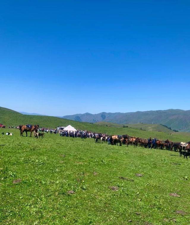 逐水草而居，心歸草原生活