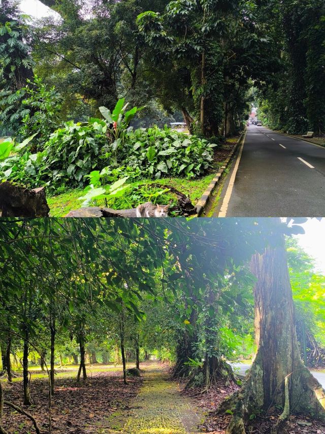 解鎖茂物：印尼小眾寶藏旅行地