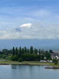 日本6天遊 遇見美麗的春天