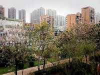 10 Days of Visa Free Transit Stay in Jieyang: Authentic China Vivid Life City Joy