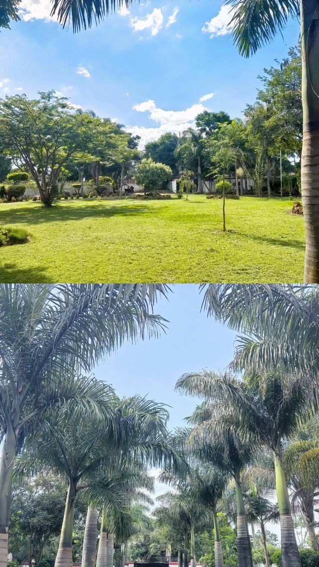 物價超離譜的非洲小國想逃