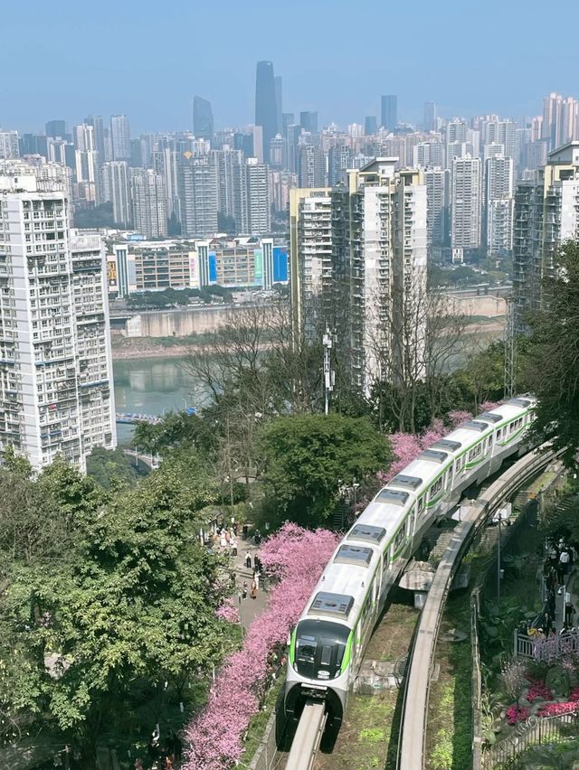 藏在重慶的半山崖線