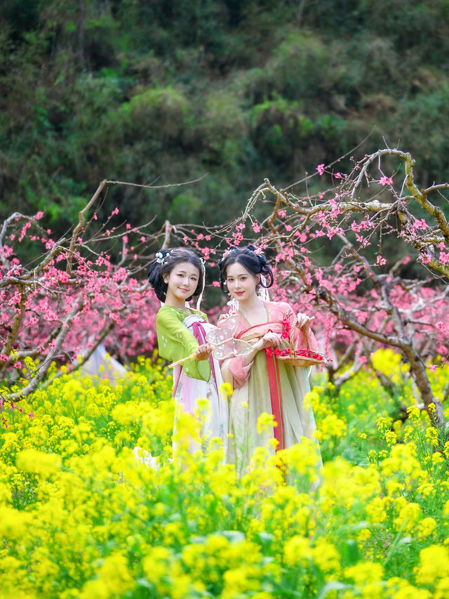 攻略：連州地下河桃花節，這個春天怎麼拍都美…