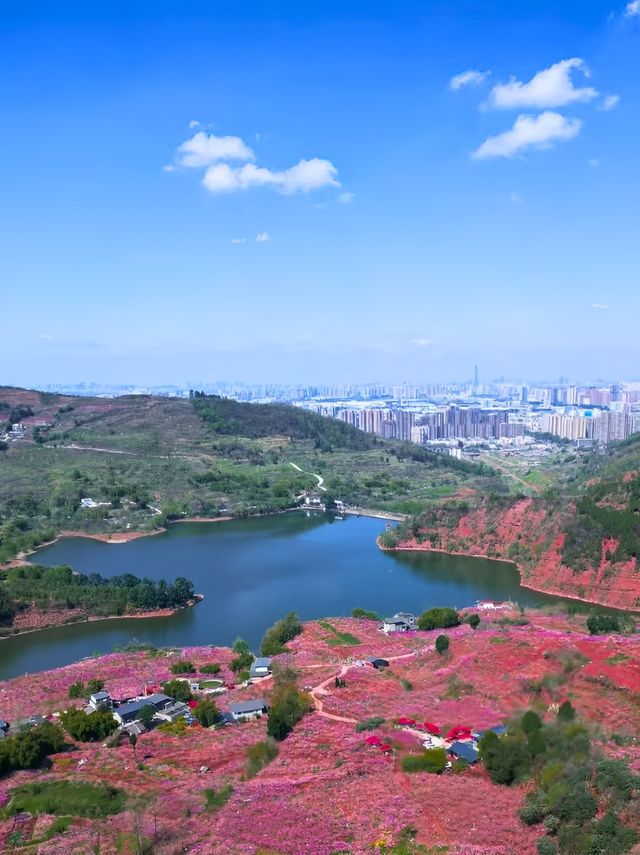 人少景美成都0.5h免費親子徒步 寶藏地