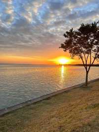 上海淀山湖景區超全遊玩攻略