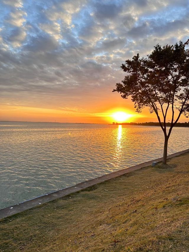 上海淀山湖景區超全遊玩攻略