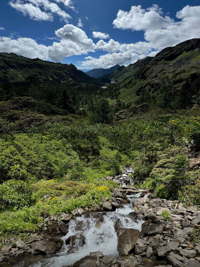 行山愛好者嘅朋友們，咁值得去嘅地方仲未去過咩🫢