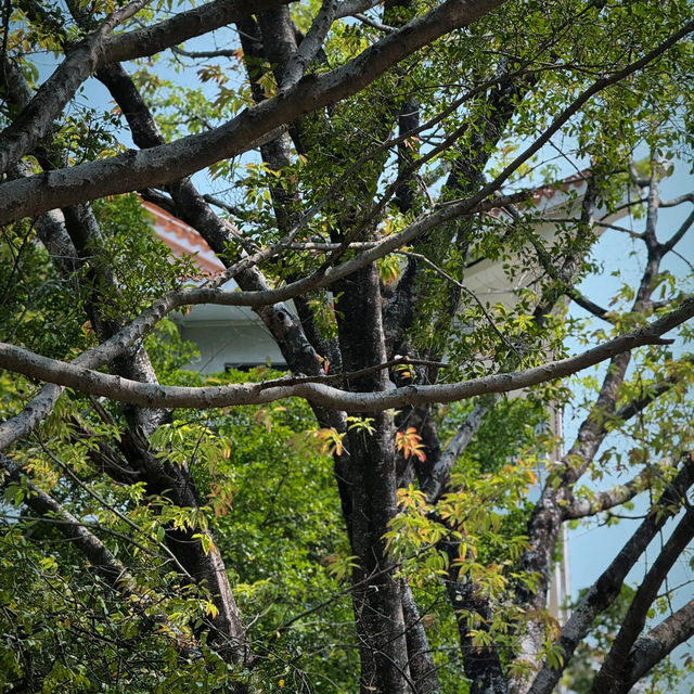 中山必探！公園裡藏著的自習寶藏地