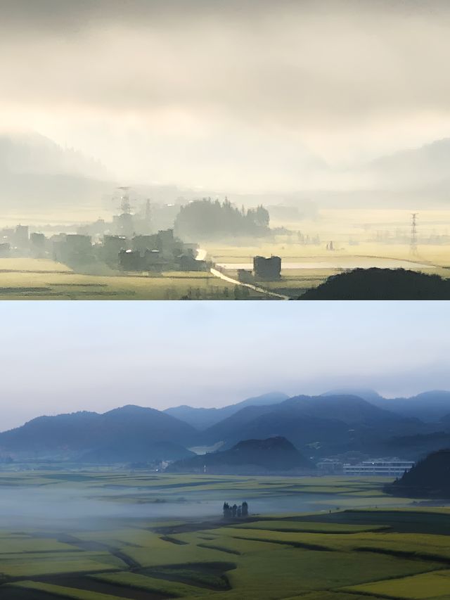 曲靖油菜花 | 一場限定春日浪漫全攻略