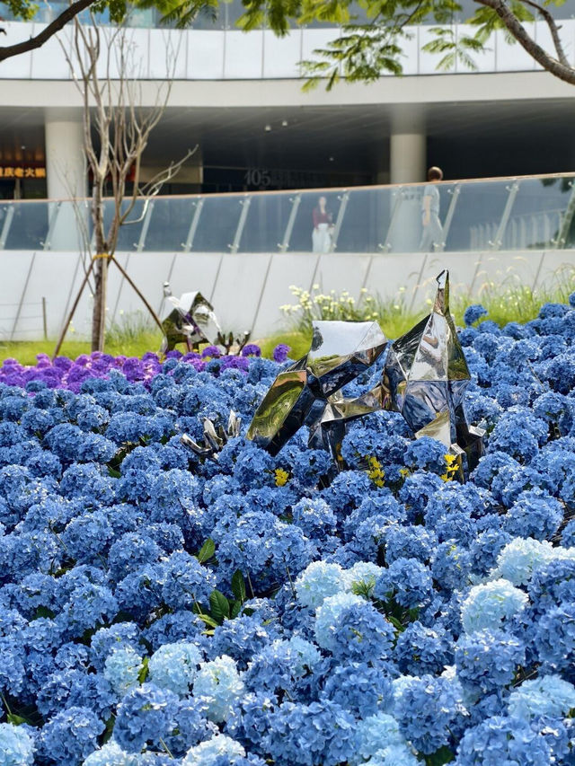 🌷珠海春日 | 花海棧道奇幻之旅，速來解鎖✨