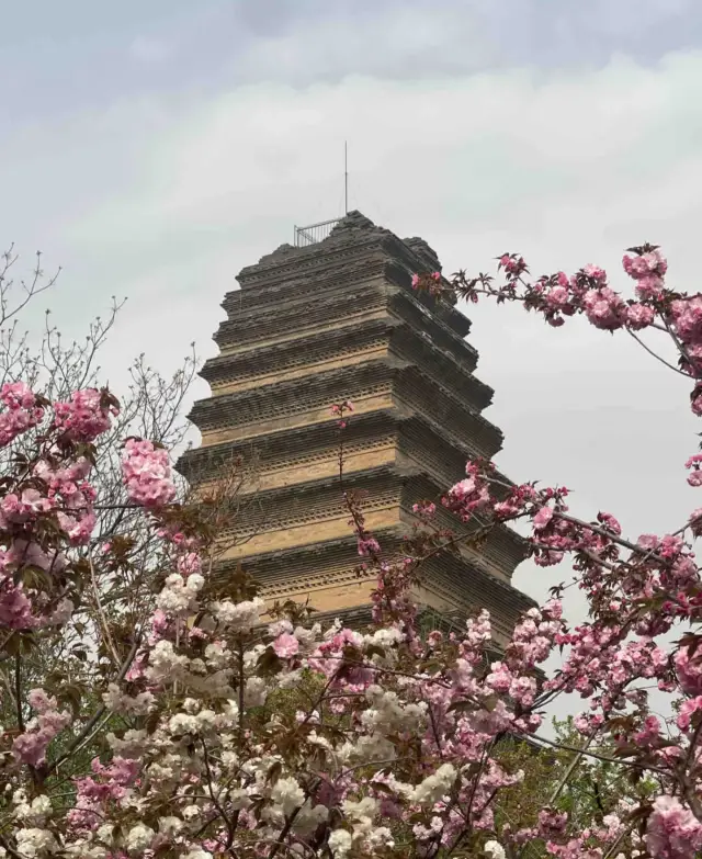 Travel Through a Millennium and Dream Back to Chang'an: A Romantic Encounter with History
