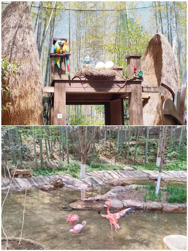 溧陽去咗5次，整理出來嘅攻略
