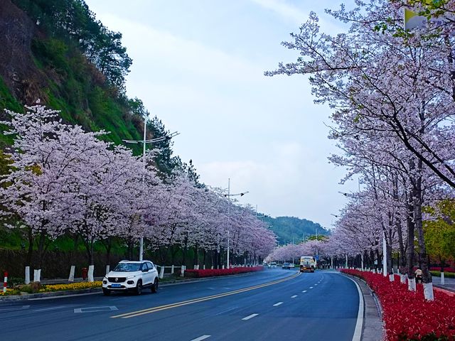 千島湖——大自然私藏的仙境，一生必去一次的地方
