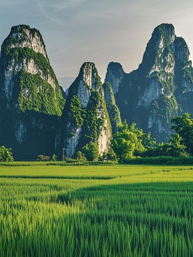 五一反向自駕！廣西百色秘境保姆級攻略