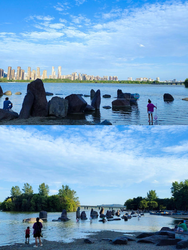 龍子湖