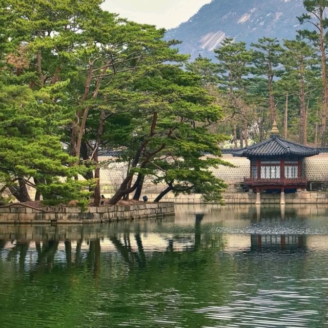 首爾必去！景福宮的春日浪漫，一眼就愛上🌸 