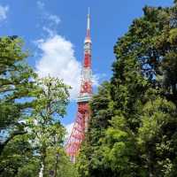 🌤️東京晴日奇遇記｜陰雨多日後，終於擁抱被陽光寵愛的時刻！