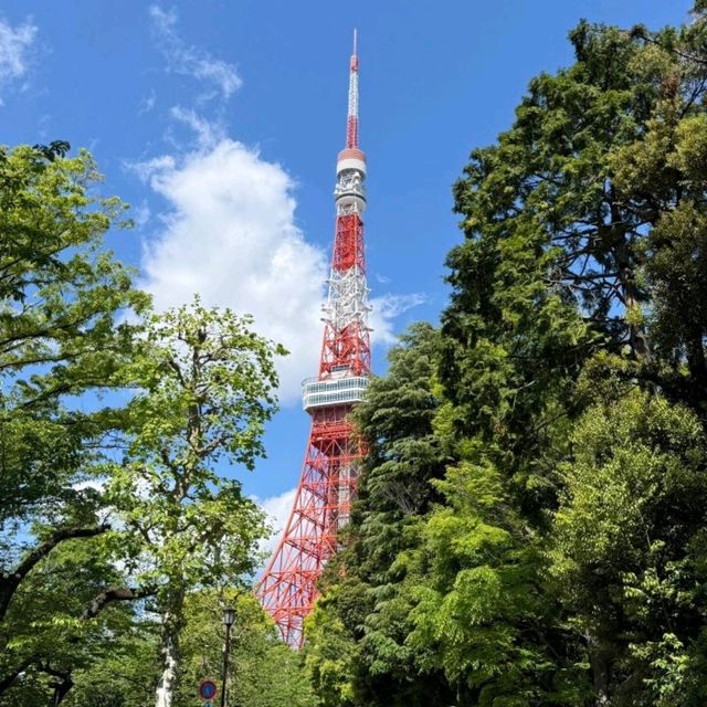 🌤️東京晴日奇遇記｜陰雨多日後，終於擁抱被陽光寵愛的時刻！