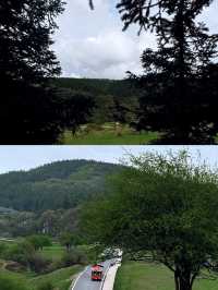 仙女山國家森林公園 五一必去