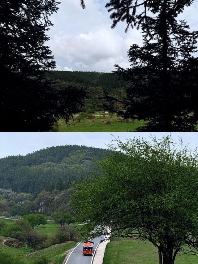 仙女山國家森林公園 五一必去