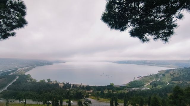 第比利斯編年史紀念柱遊記：雨中獨行者的歷史朝聖