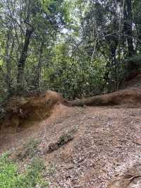 Kui Bari National Park