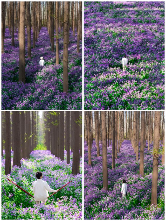 綠野×康養｜金湖三園秘境暴走指南