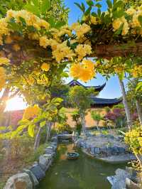 藏在舟山的佛系小眾秘境“善成禪寺”