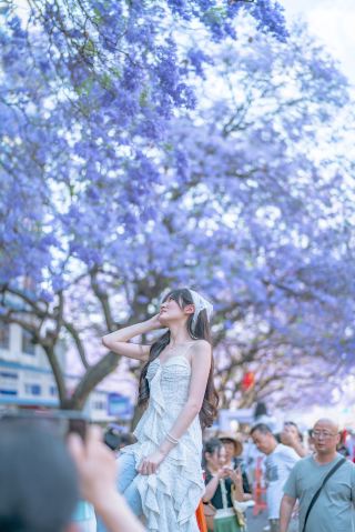 Xichang's Jacaranda Blooms Are Here, Safest Photo Spots Revealed