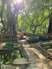 端午尋綠｜香港至佛山中山公園2日休閒游攻略