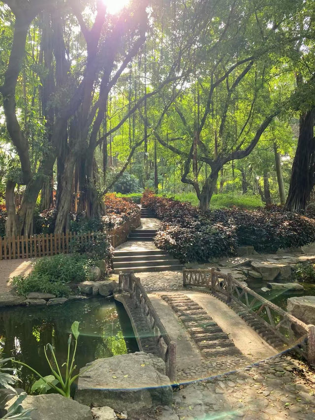 端午尋綠｜香港至佛山中山公園2日休閒游攻略