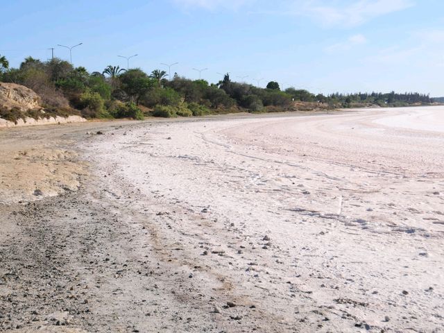 塞浦路斯拉納卡鹽湖