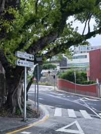 澳門衣灣斜巷週邊美食探秘攻略 