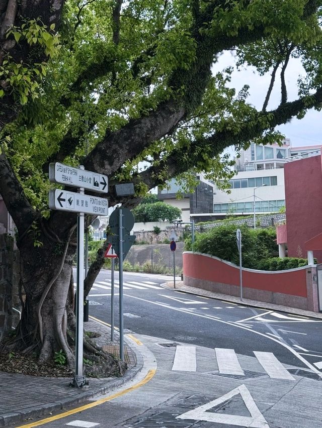 澳門衣灣斜巷週邊美食探秘攻略 