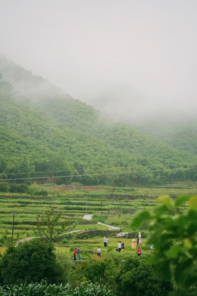 唔好再亂搜啦！呢個先係莫干山嘅正確打開方式
