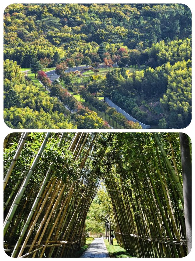 牛首山視覺與心靈嘅盛宴快啲嚟感受呢座千年聖山啦
