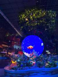 北京周邊玩水寶藏地✨ 淶源湖熱帶海洋世界