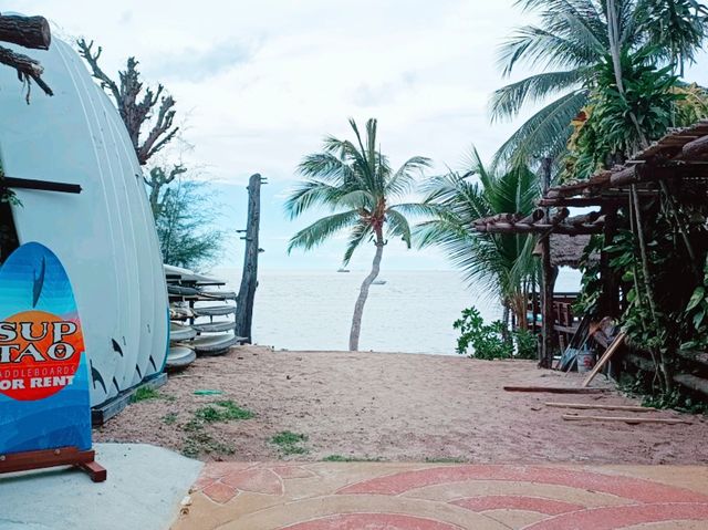 Beyond the Full Moon: A Summer Day-Night Adventure in Koh Phangan