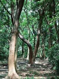 返工攰咗就去行山啦～廣州市區小眾行山路線～