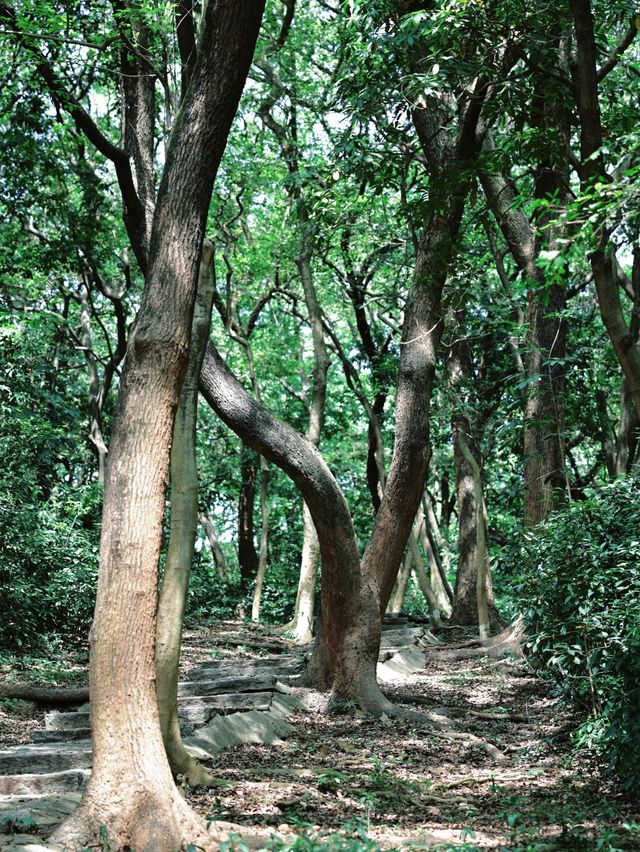 返工攰咗就去行山啦～廣州市區小眾行山路線～